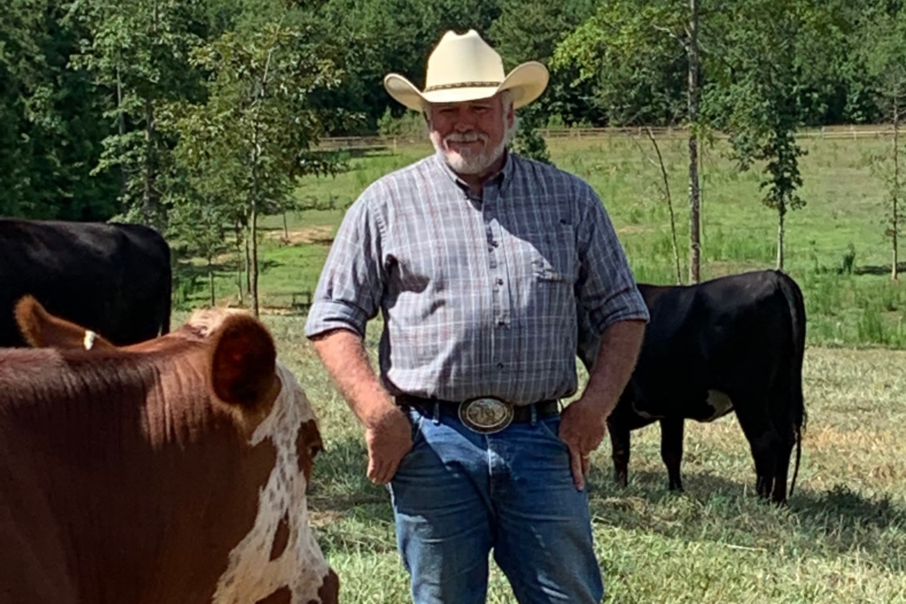 Ivan Minks with his cattle
